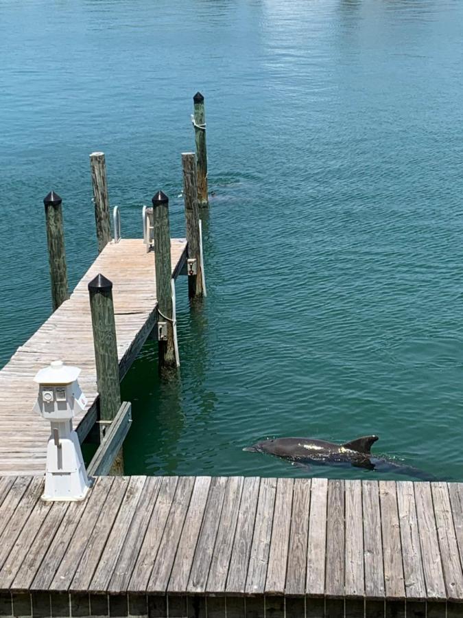 Luxury And Spacious Waterside Getaway Clearwater Beach Kültér fotó